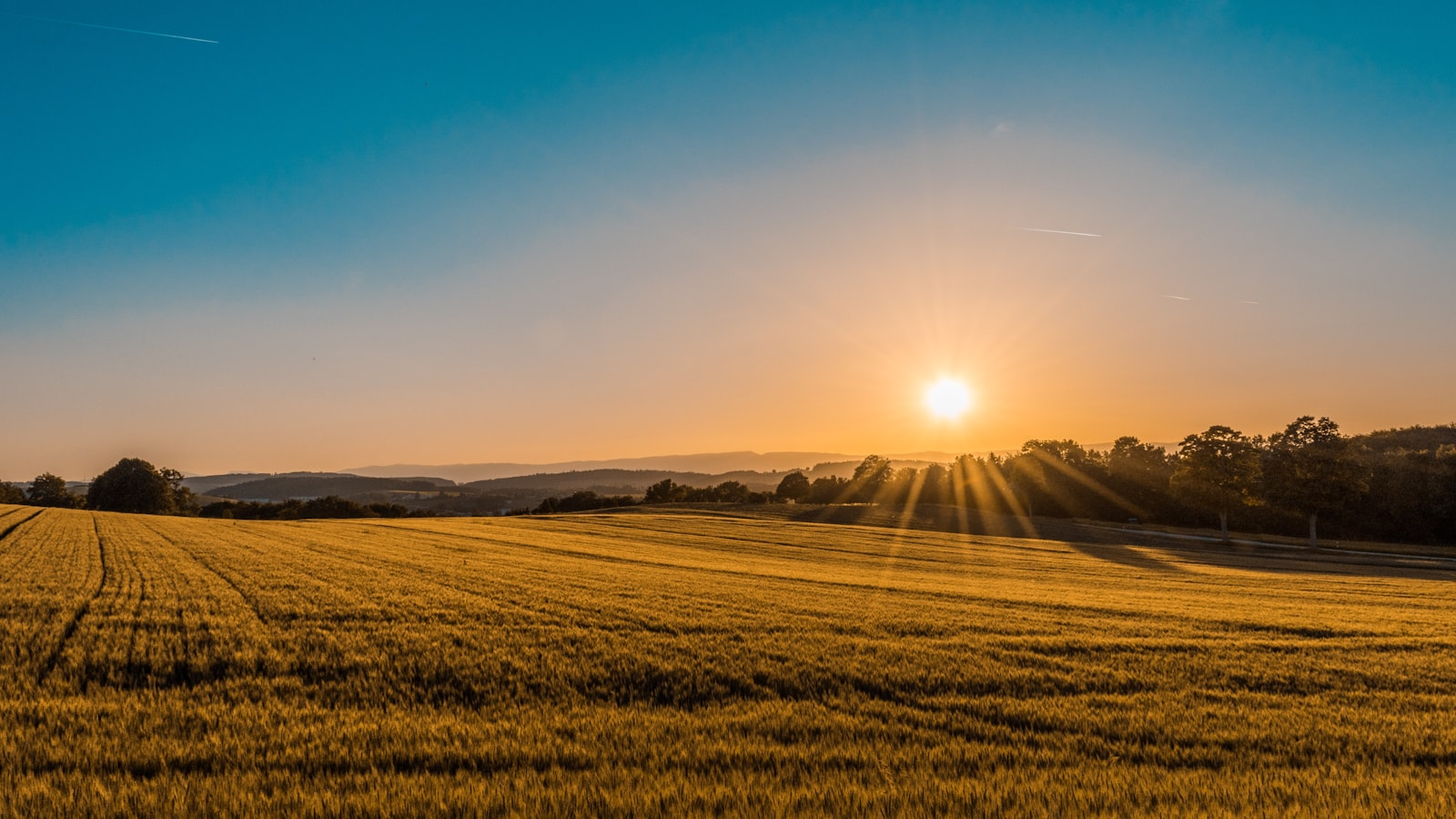 Campos de cultivo al atardecer en la comarca de Lorca